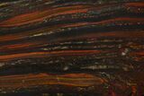Polished Tiger Iron Stromatolite - Billion Years #129282-1